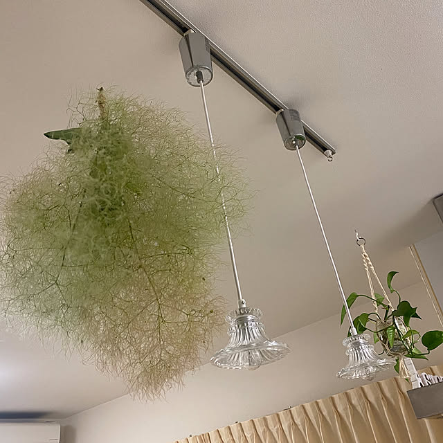 miepさんの実例写真