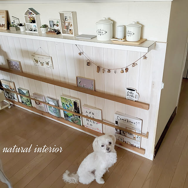 壁/天井/うちのわんこ/雑貨小物/詳しくはIGで/ホワイトナチュラル...などのインテリア実例 - 2021-04-30 15:57:58