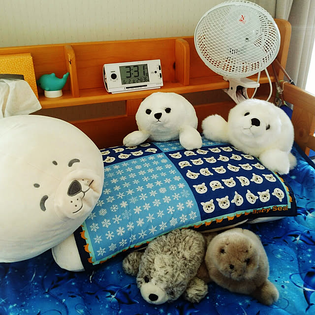 kyukyuさんの実例写真