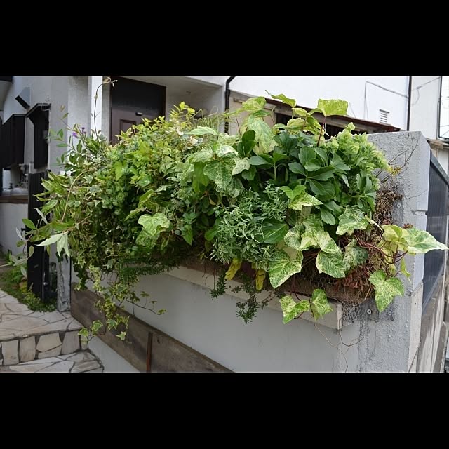 GreenWorksさんの実例写真