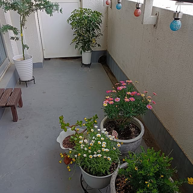 hisaさんの部屋