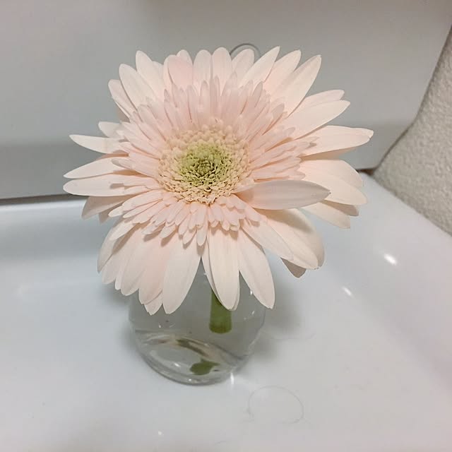 yunaさんの実例写真