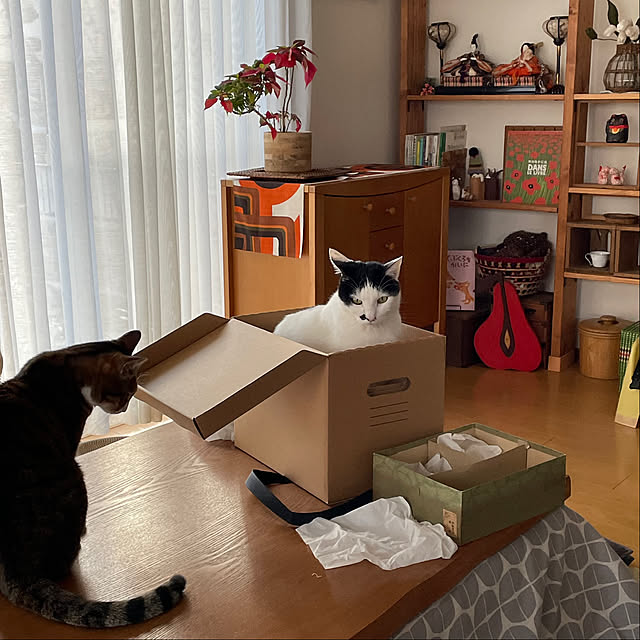 nobikoさんの部屋