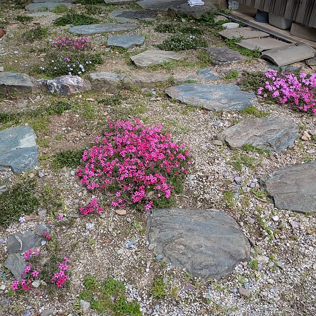 kuririnmamaさんの部屋