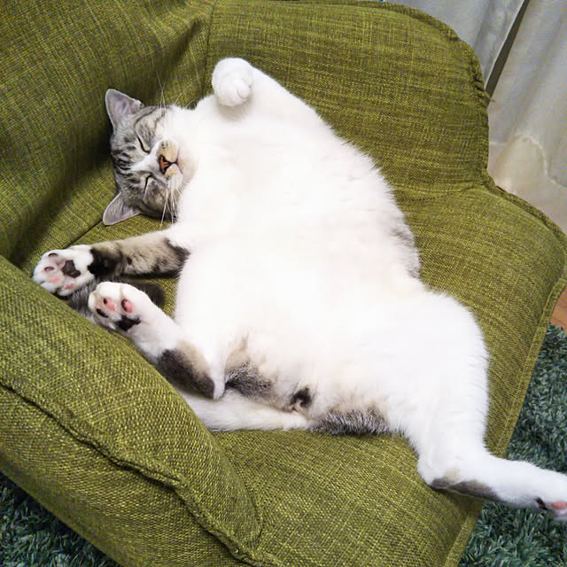 saoさんの実例写真