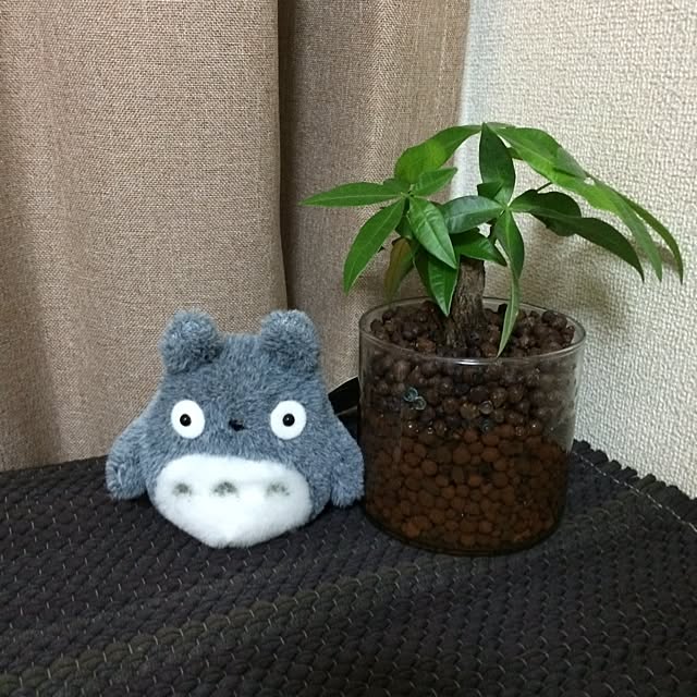 miiipoさんの実例写真