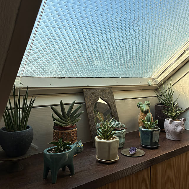 rieさんの実例写真