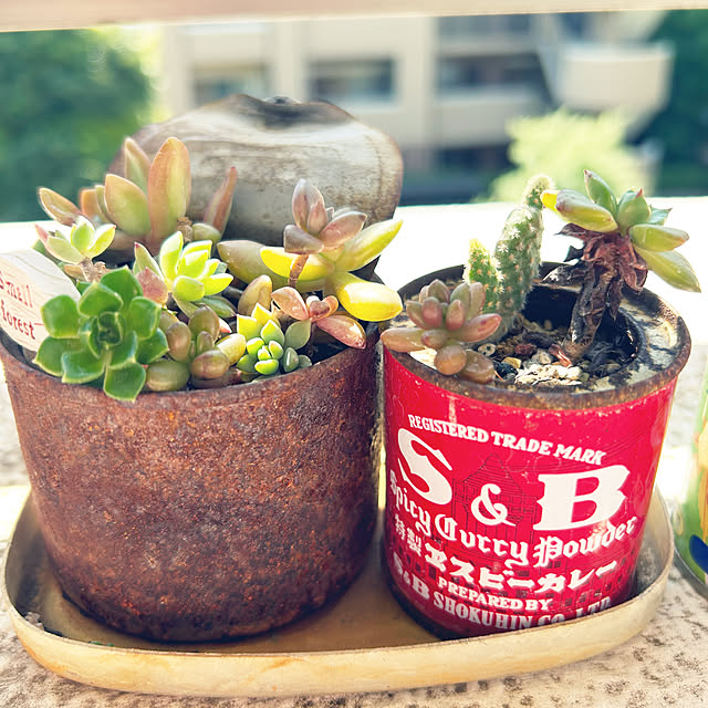 suemonta14さんの部屋