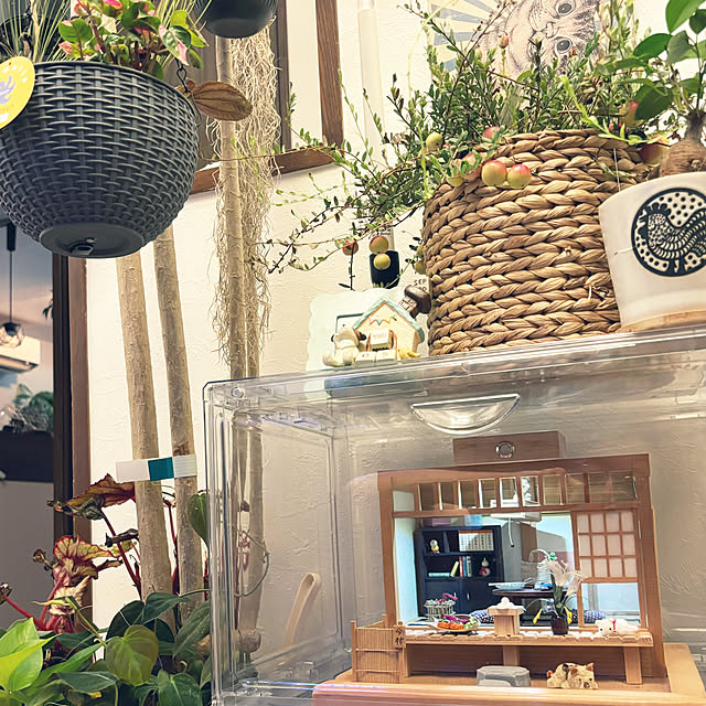 likeさんの部屋
