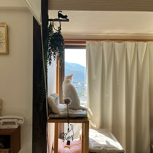 hanaさんの実例写真