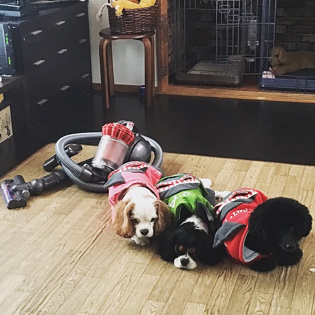 happy0612さんの実例写真