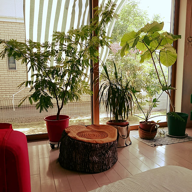 urchinさんの実例写真