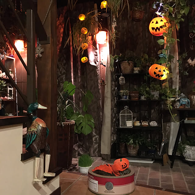 shigimiさんの実例写真