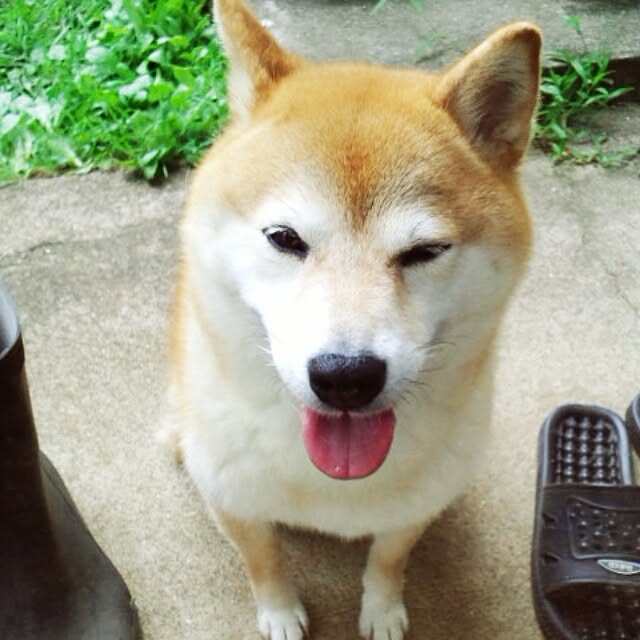 YUKKIさんの実例写真