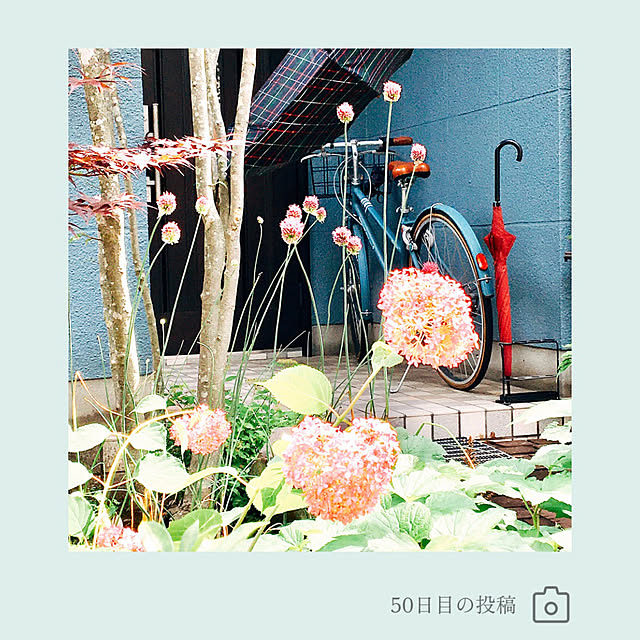 nobikoさんの部屋