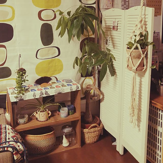 oizu36さんの実例写真