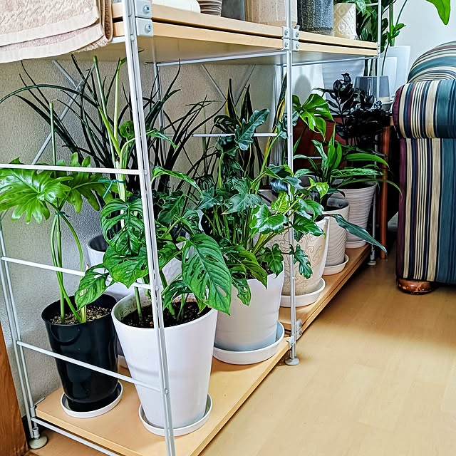 hanachanさんの部屋