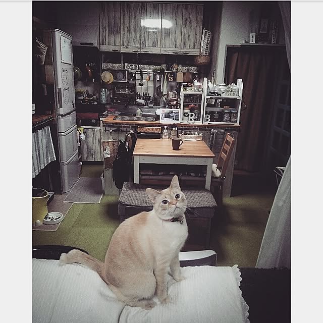 mntcさんの実例写真