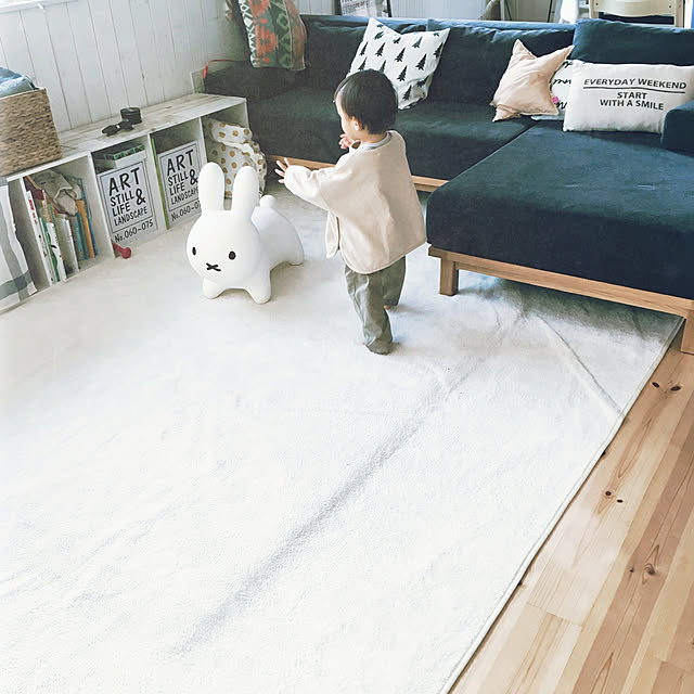 ariさんの実例写真
