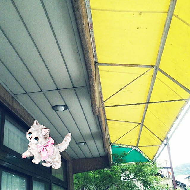 cherrycherryさんの実例写真