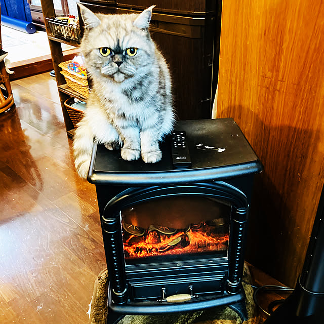 Marinさんの実例写真