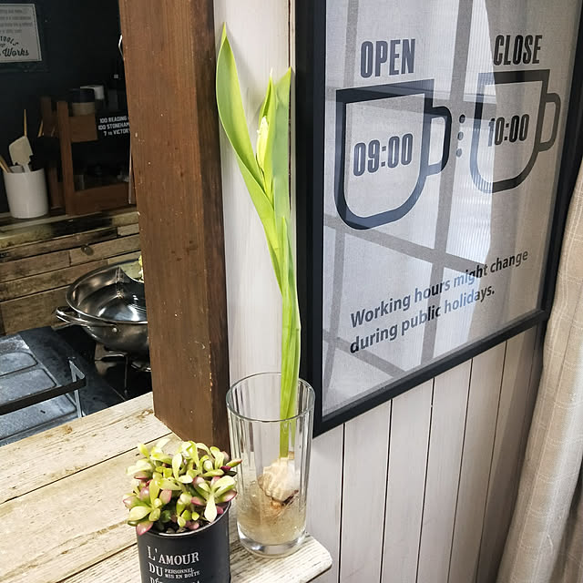 opiopiopiさんの実例写真