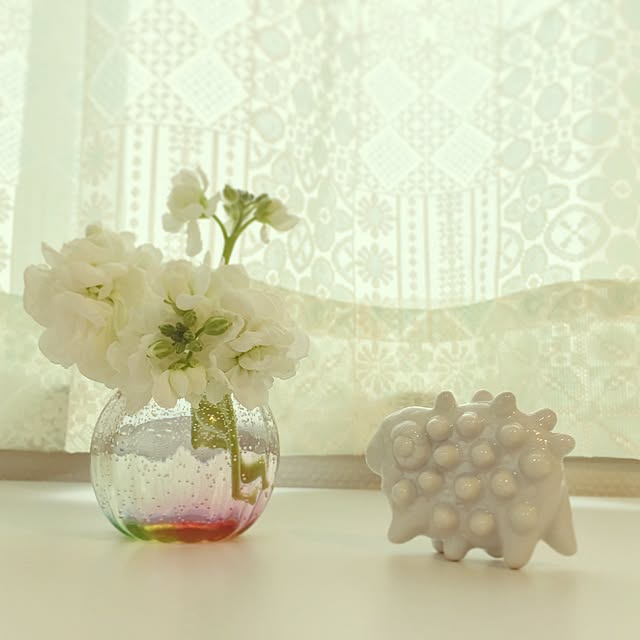 jellyfish15120さんの実例写真