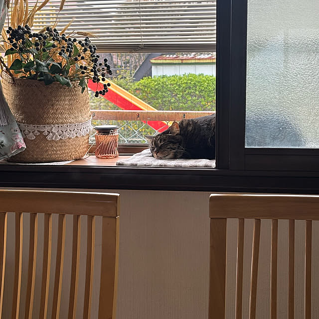 momocchiさんの部屋