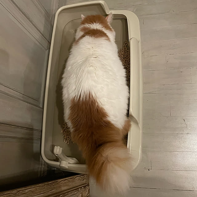 mannersさんの実例写真