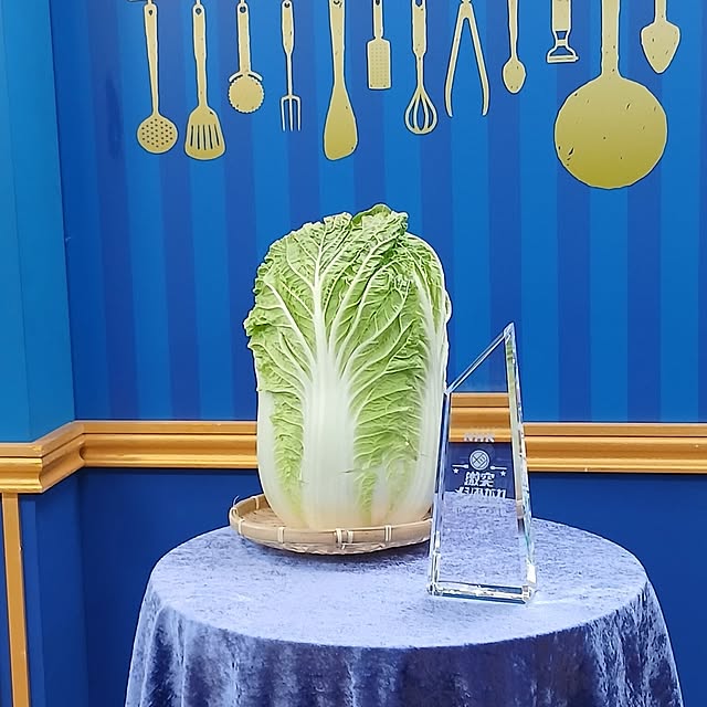 chi-sukeさんの部屋