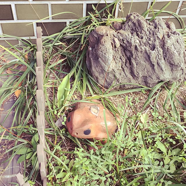 Kimさんの実例写真