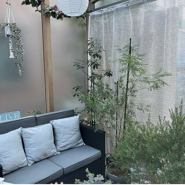 felicityさんの部屋