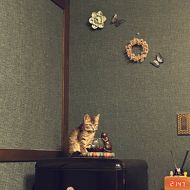 kanaさんの実例写真