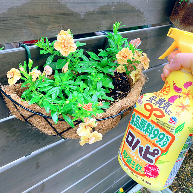 sunabaさんの部屋