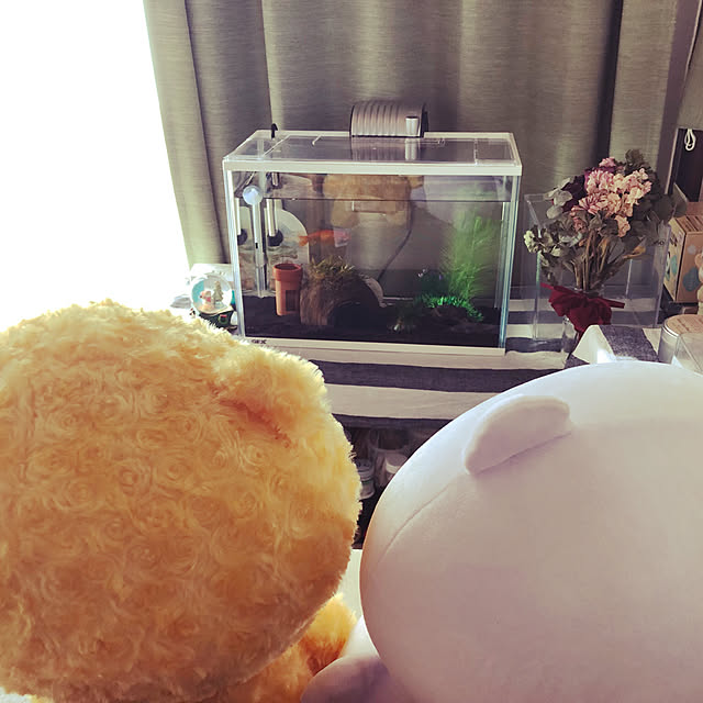 raitoさんの実例写真