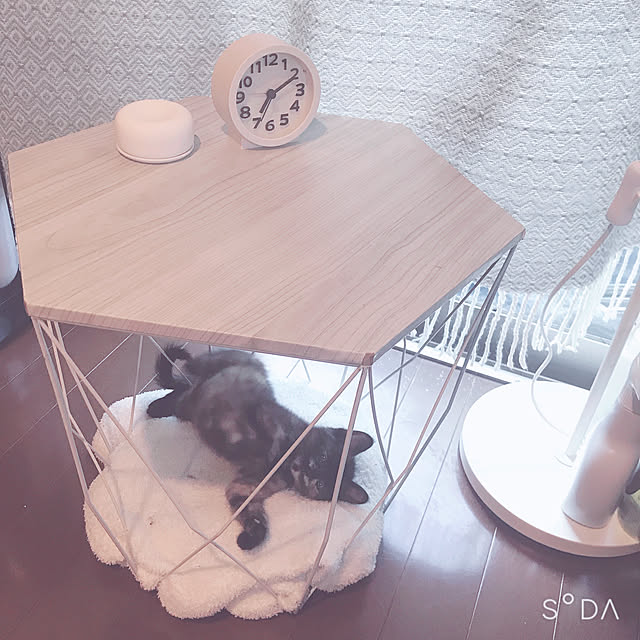 Hotateさんの実例写真