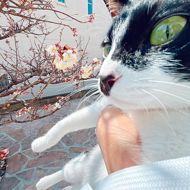 moolさんの部屋