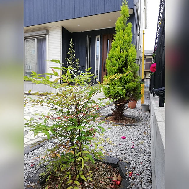 lomane124さんの実例写真