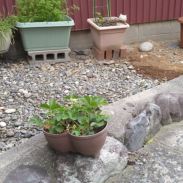 ameamekaasanさんの部屋