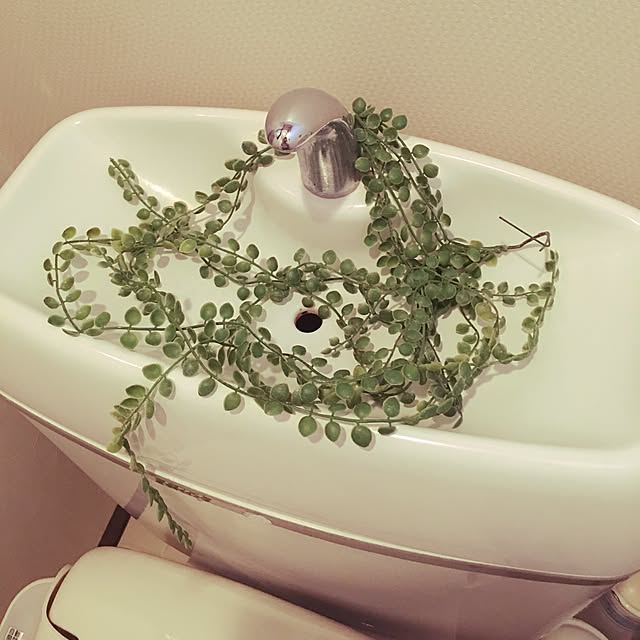 バス/トイレ/セリアのインテリア実例 - 2016-08-09 18:34:52