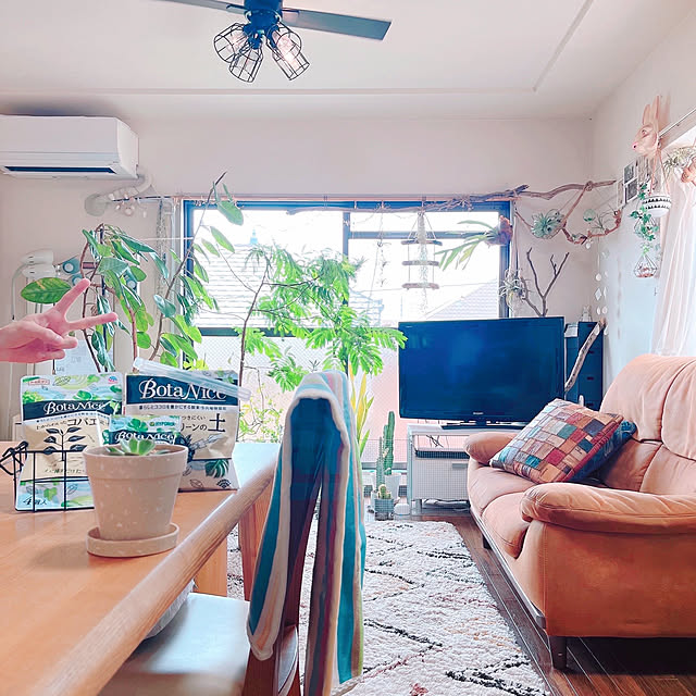 Llatte-usaさんの部屋