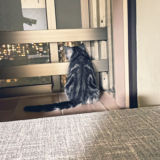 yuzuaoさんの実例写真