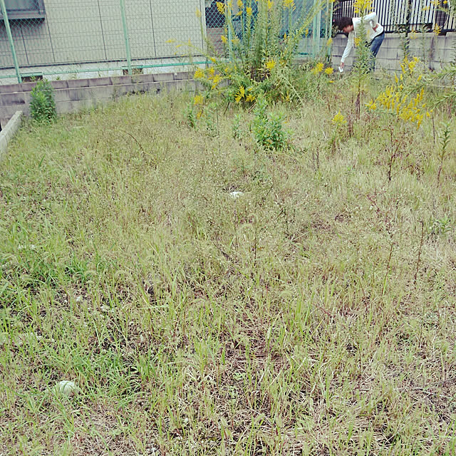 aoirohaさんの実例写真