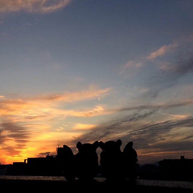simple_blowbackさんの実例写真