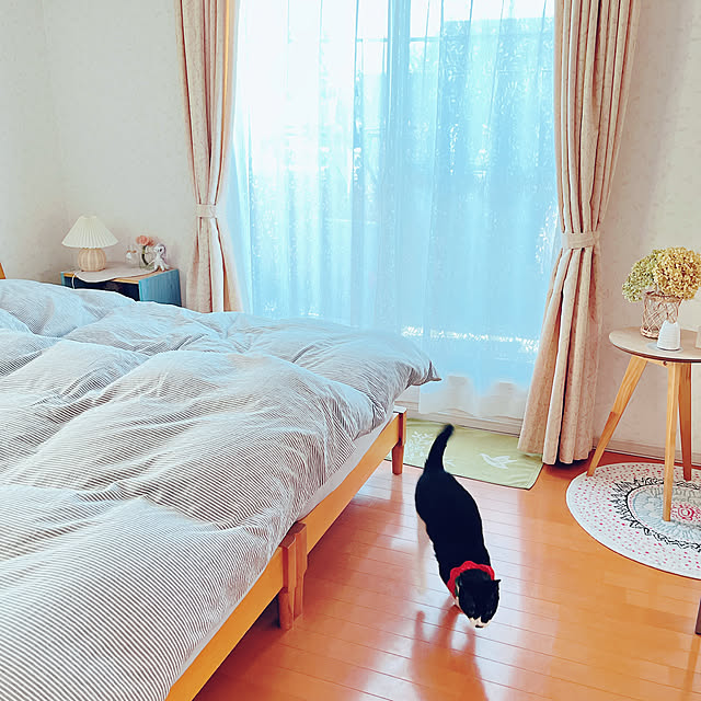 moolさんの部屋