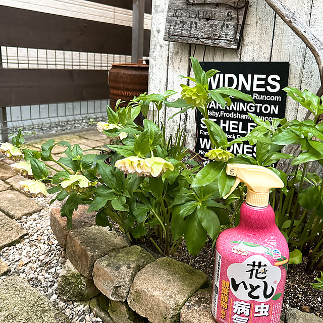 shhさんの部屋
