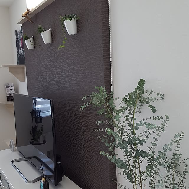 megu.catさんの実例写真