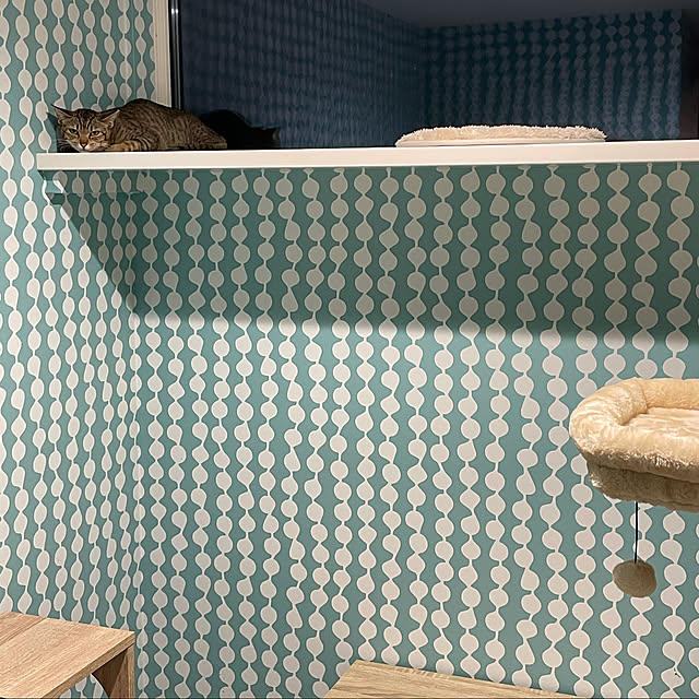 Sivaさんの実例写真