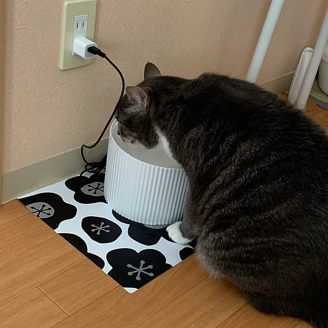 Machikoさんの実例写真
