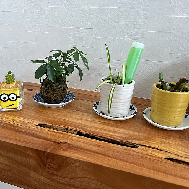 osaeさんの実例写真